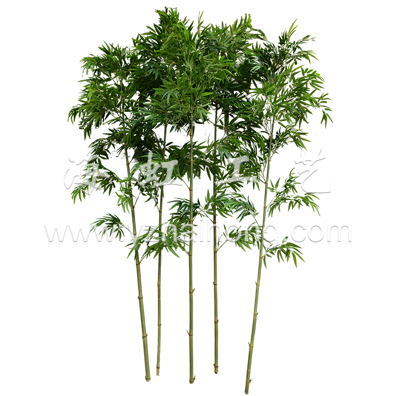 Bamboo series